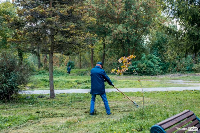 Жовто-багряний настрій: Луцьк на осінніх світлинах