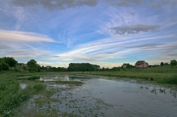 Фото «типового» Володимира