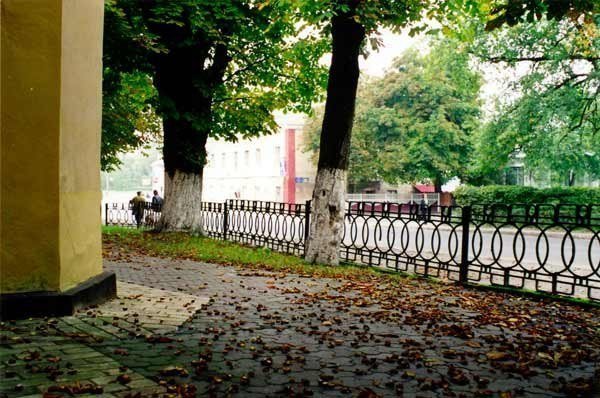 Фото «типового» Володимира