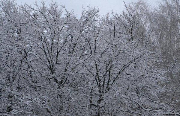 Волинь готова до снігопадів, - ОДА. ФОТО