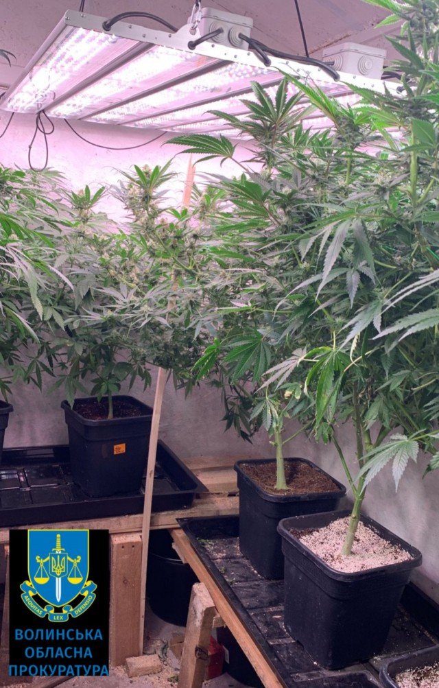 У Луцьку затримали 37-річного чоловіка із готовими до збуту наркотиками. ФОТО