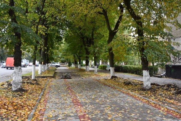 Як луцькі двори змінюються після ремонту. ФОТО