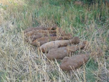У селі на Волині тракторист знайшов боєприпаси в полі