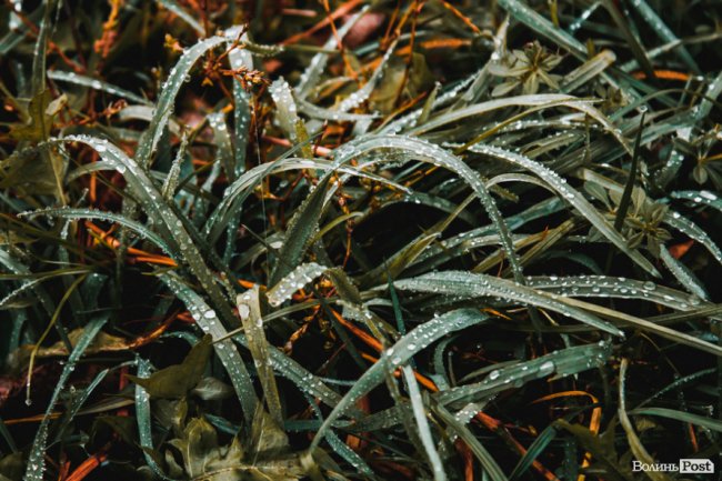 Туманний Луцьк: неймовірні фото 