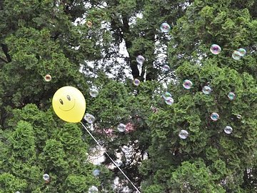 Фестиваль бульбашок у Луцьку. ФОТО