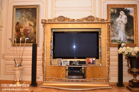 Маєток «самозакоханого Пшонки». ФОТО