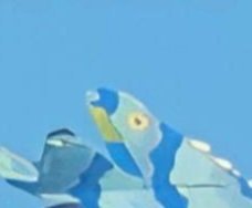 Азербайджан спорядив Україні МіГ-29, - ЗМІ