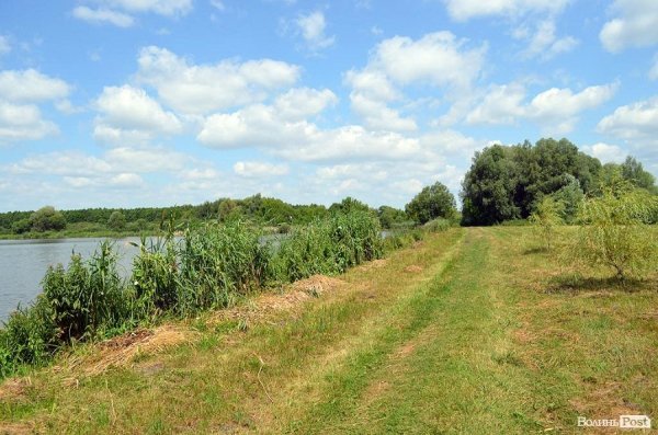 Нещодавно скошена трава, а взагалі вона тут виростає висока. 