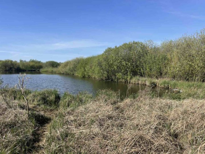 Громада біля Луцька здає в оренду два ставки