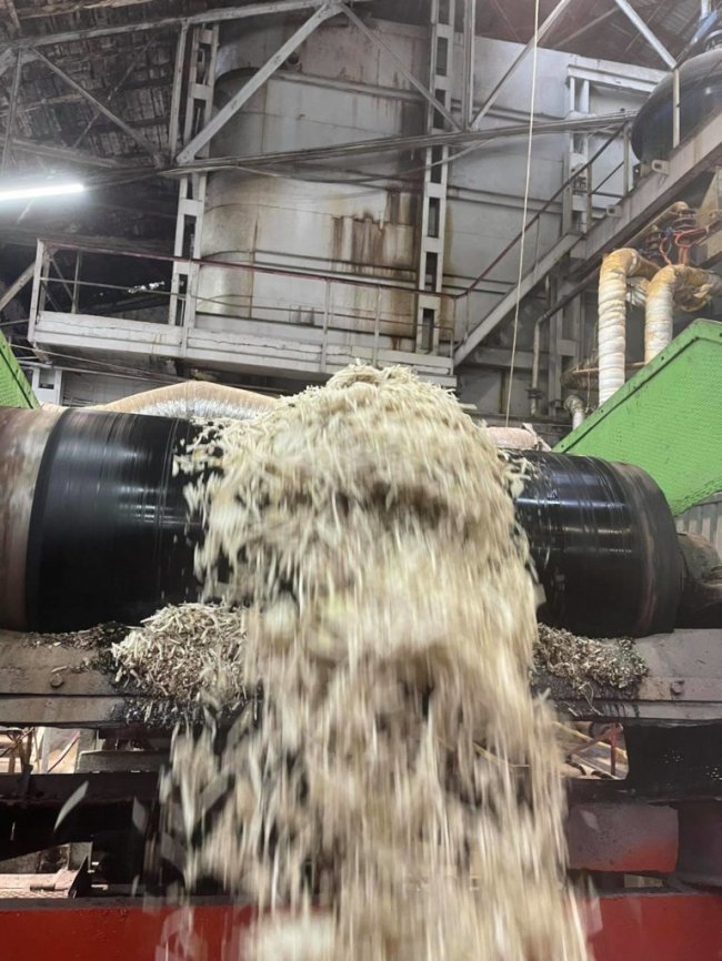 «У цукроварів дві проблеми: погода і ціна на газ»: особливості нового сезону на Гнідавському цукровому заводі 