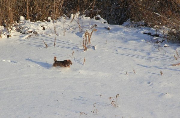 Зимова краса волинських річок