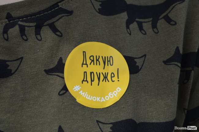 Фестиваль «Мокрі носики» біля луцького «Променя»: як безпритульним пухнастикам шукали дім. ФОТО