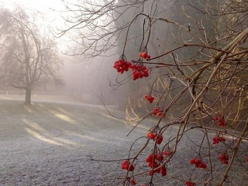 Погода в Луцьку та Волинській області на середу, 11 грудня
