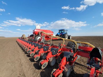 На Волині озимим ріпаком засіяли 50 тисяч гектарів