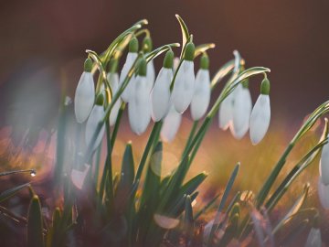6 березня: яке сьогодні свято, прикмети і заборони 