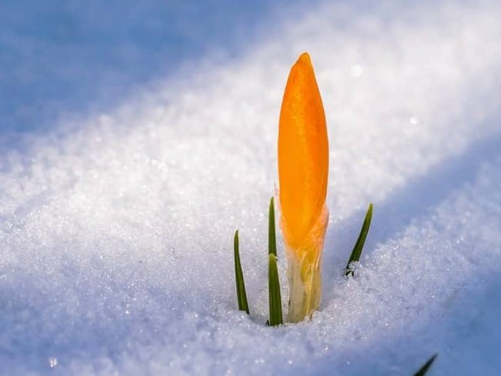 Аномально теплий квітень і літо у травні: синоптики ошелешили прогнозом погоди на весну 2026