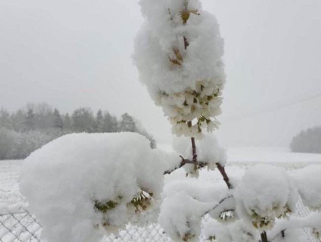 Багато країн Європи засипало снігом. ФОТО
