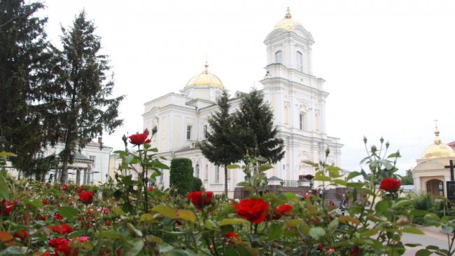 Неповторна атмосфера: біля луцького собору зацвіла тисяча троянд. ФОТО