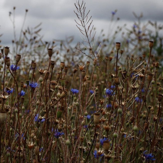 Неймовірні краєвиди природи на знімках волинської волонтерки