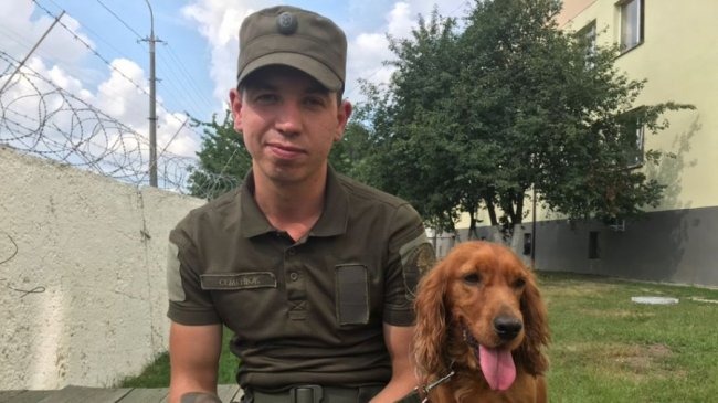 Із зони ООС до Луцька повернулася руда спанієль на прізвисько «Леді». ВІДЕО