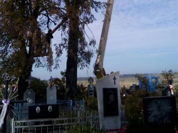 Сільське кладовище на Волині розчистили від аварійних дерев. ФОТО