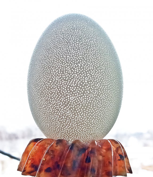 Волинський Фаберже просвердлив гусяче яйце понад 11 тисяч разів