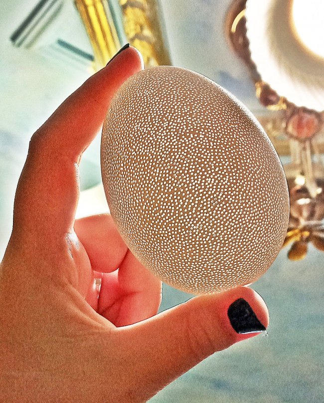 Волинський Фаберже просвердлив гусяче яйце понад 11 тисяч разів