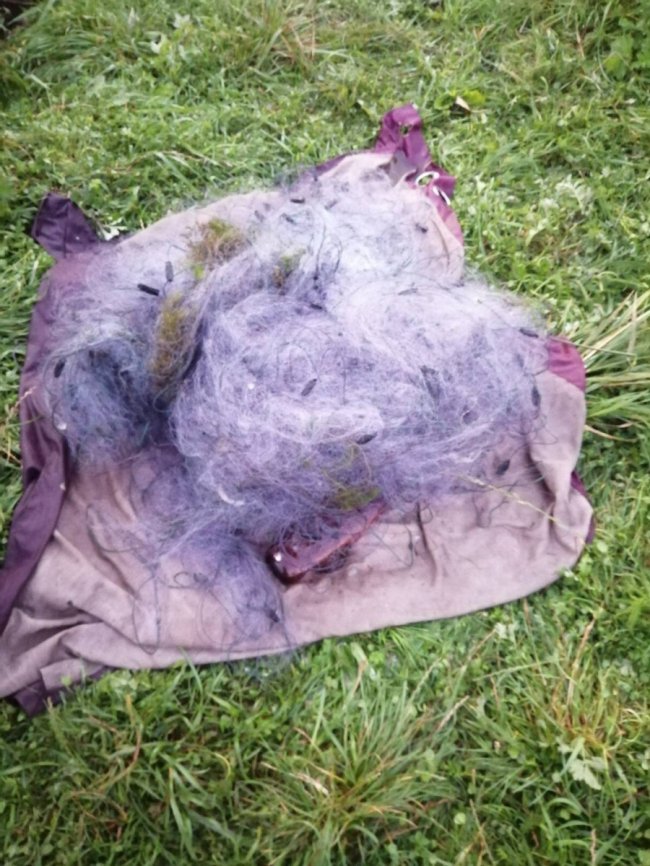 На території волинського заказника зловили браконьєрів. ФОТО