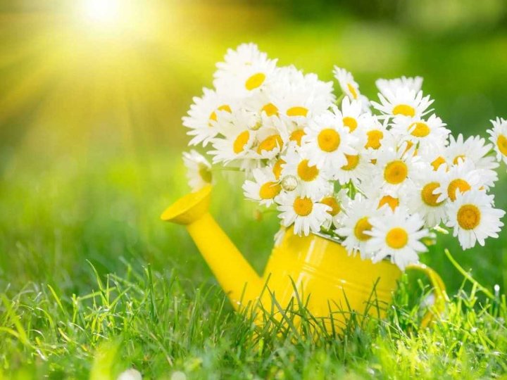 Якою буде погода у Луцьку та на Волині у неділю, 27 липня