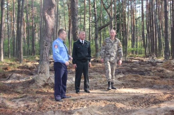 На Волині ліквідовують наслідки «наїзду» на ліси. ФОТО