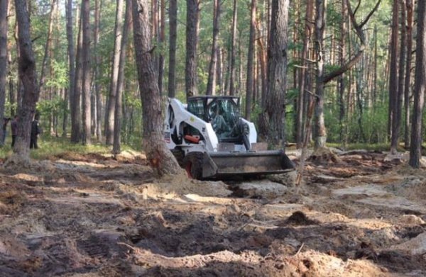 На Волині ліквідовують наслідки «наїзду» на ліси. ФОТО
