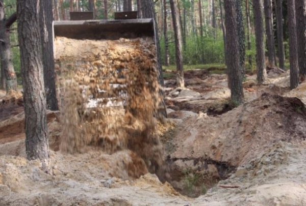 На Волині ліквідовують наслідки «наїзду» на ліси. ФОТО