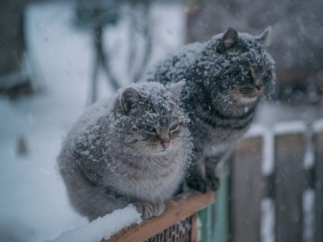 «Забувайте про весняне тепло»: синоптик прогнозує похолодання в Україні