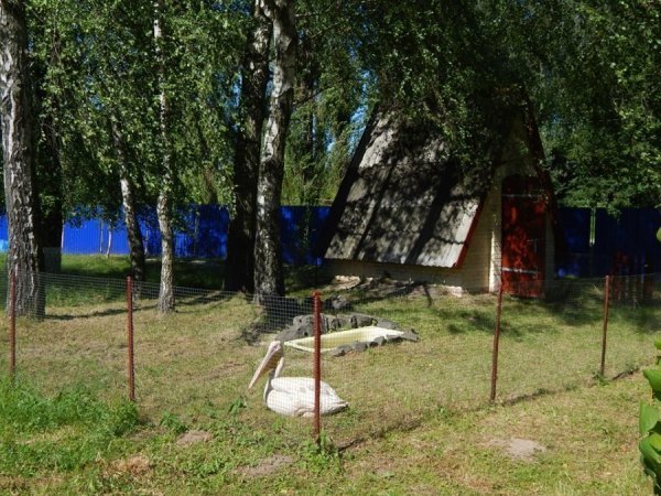 У луцькому зоопарку оселився новий мешканець. ФОТО