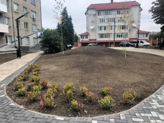 У Луцьку озеленюють новий сквер на проспекті Волі. ФОТО