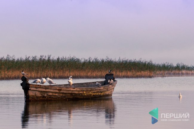 Опублікували фото оповитого туманом Світязю з висоти пташиного польоту