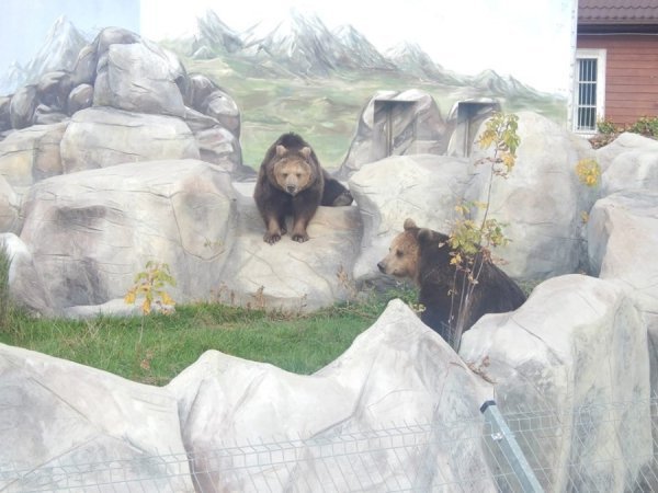 Зоопарк в Замості: погляд з Луцька. ФОТО