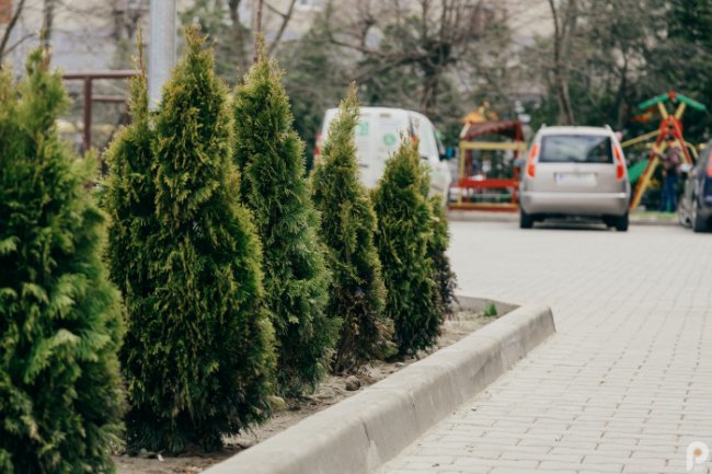 Нова бруківка, відеоспостереження та дитячий майданчик: як змінився двір на Ковельській у Луцьку. ФОТО