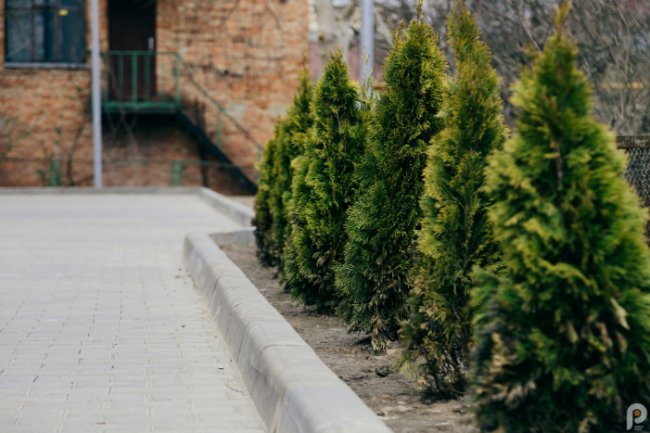 Нова бруківка, відеоспостереження та дитячий майданчик: як змінився двір на Ковельській у Луцьку. ФОТО