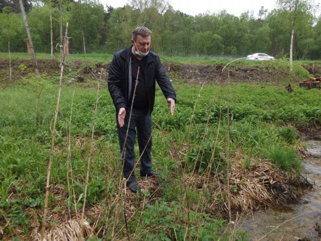 Пам'ятка природи: Цуманські джерела приведуть до ладу  та облаштують територію навколо