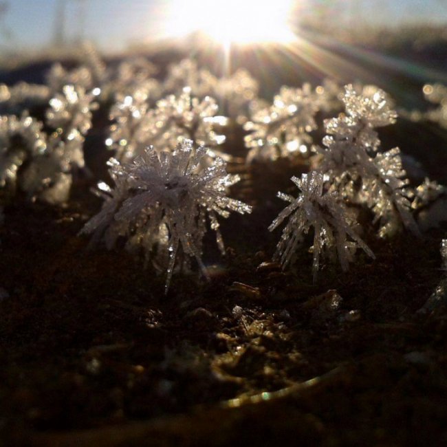 Краса волинської зими. ФОТО