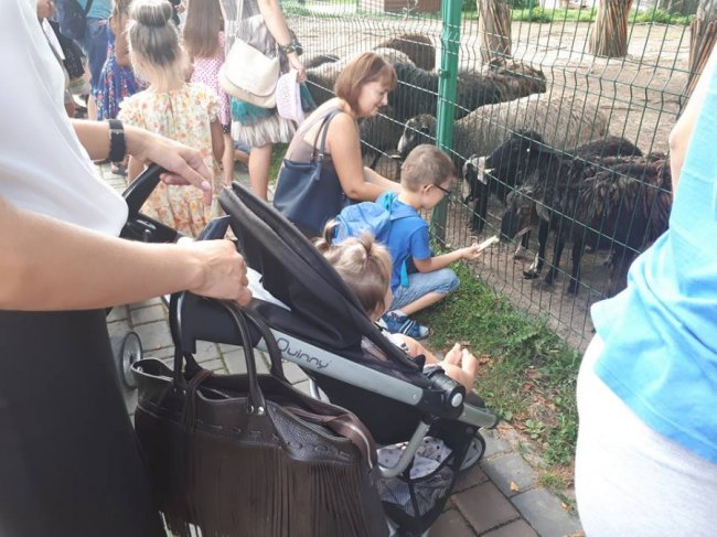 У Луцькому зоопарку зібрали урожай овочів, які садили діти. ФОТО