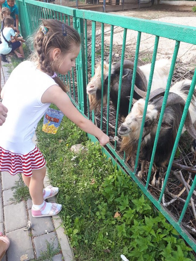 У Луцькому зоопарку зібрали урожай овочів, які садили діти. ФОТО