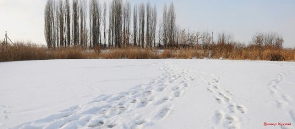 Опублікували чарівні фото зимового Стиру