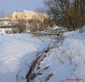 Опублікували чарівні фото зимового Стиру