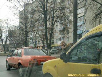 У Луцьку  Renault в'їхало у Ford. ФОТО