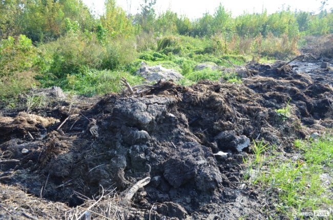 Дихати неможливо: лучани скаржаться на сміття та паліїв у центральному парку