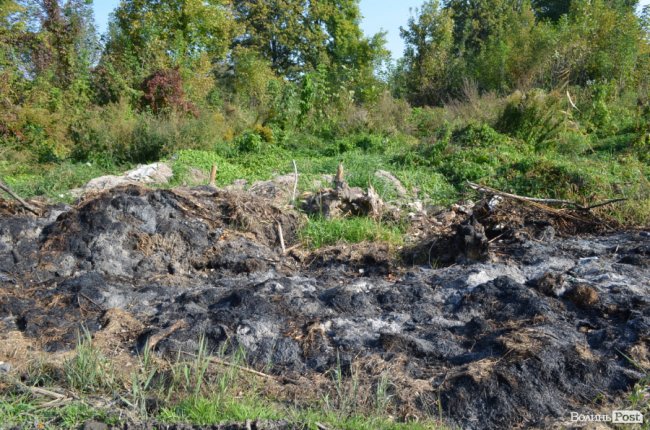 Дихати неможливо: лучани скаржаться на сміття та паліїв у центральному парку