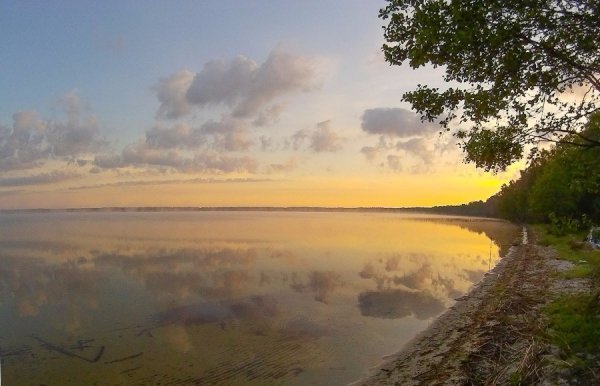 Цікаві відкриття таємничого Полісся. ФОТО