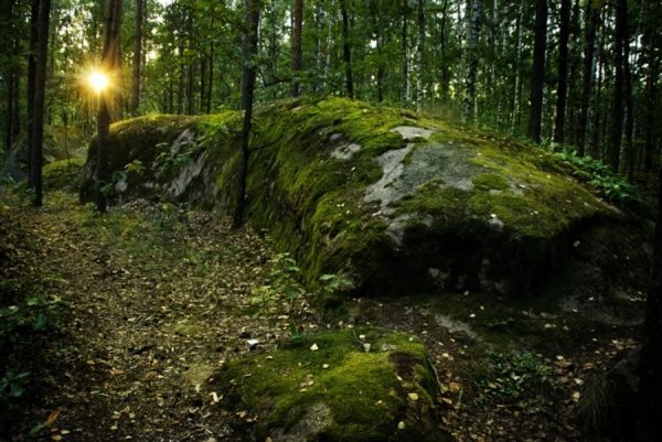 Цікаві відкриття таємничого Полісся. ФОТО
